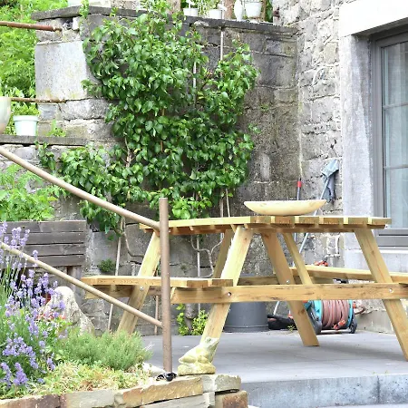 Aux Chants Des Oiseaux * Pailhe